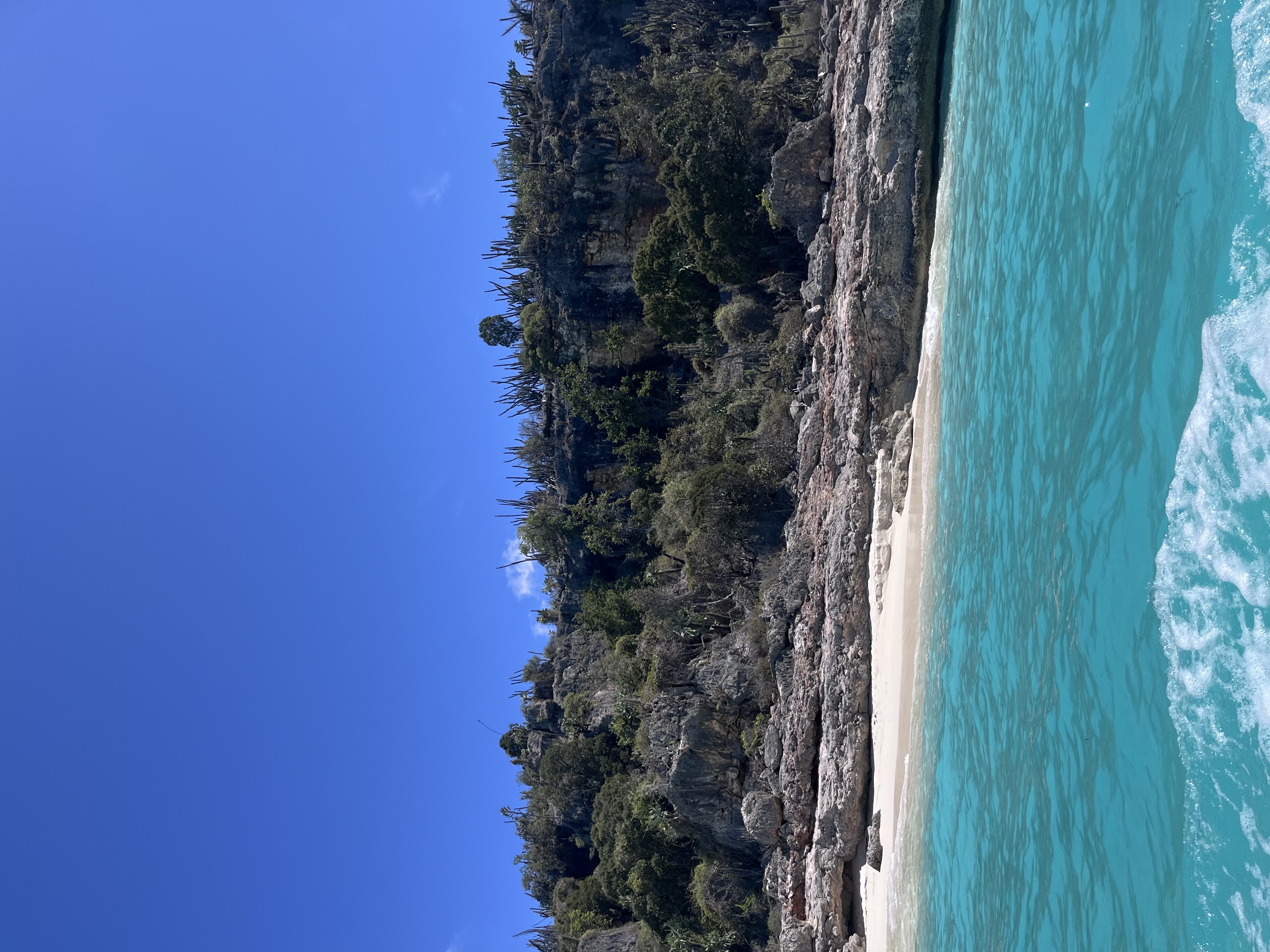 Bahía de las Águilas - Marzo 2026